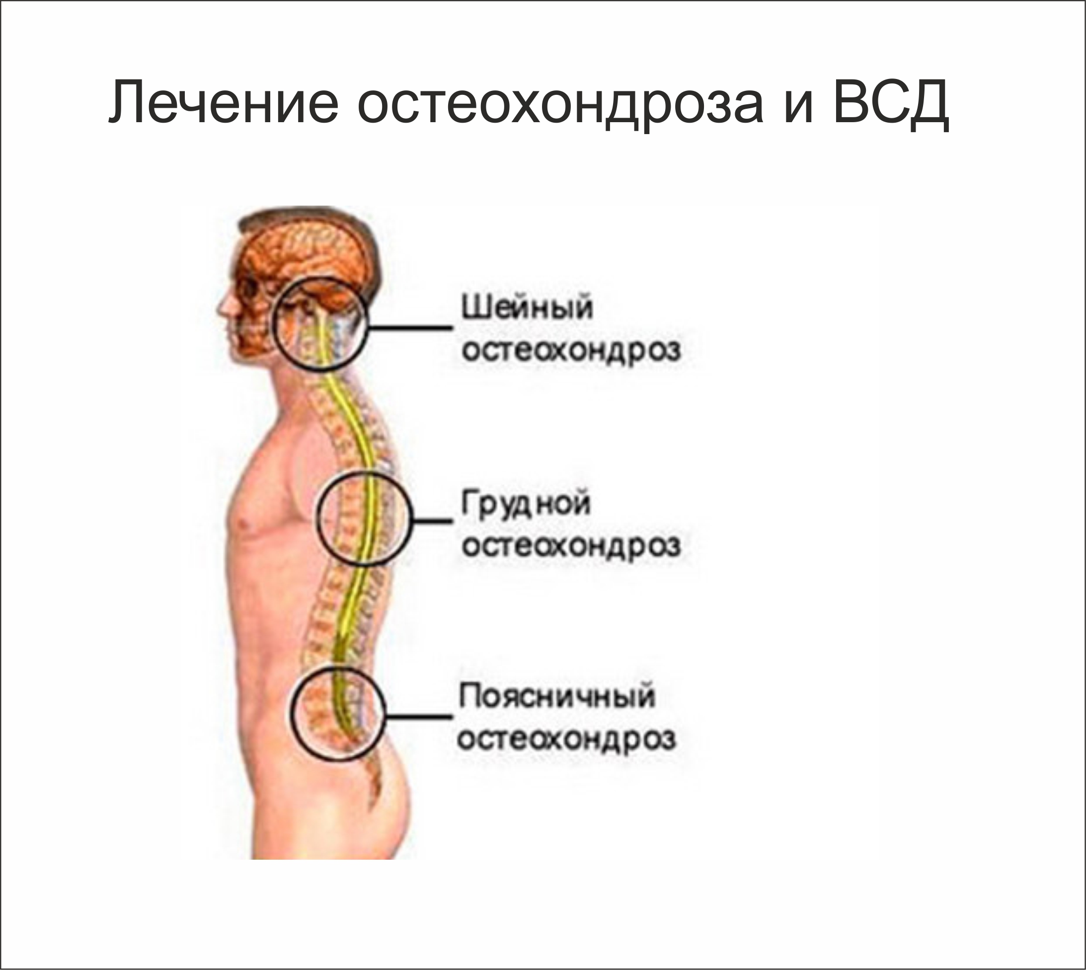 Как сделать из цветной бумаги цветы своими 979