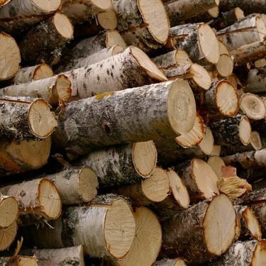 Продажа колотых дров и щипы с доставкой СПБ