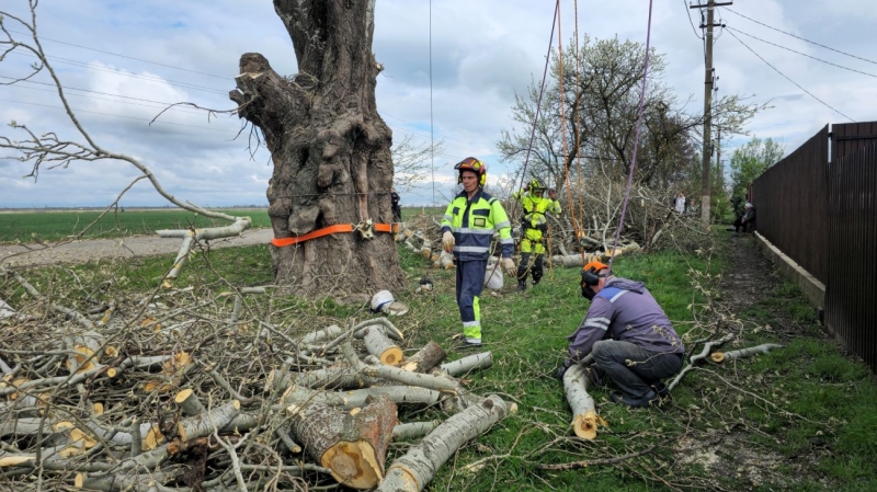 ���� �������� � ����������