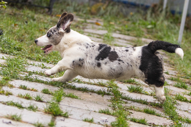 ����� ��������� ����������.