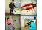 Избавлю Вас от насекомых Не дорого Качественно Анонимно Быстро Безопасно